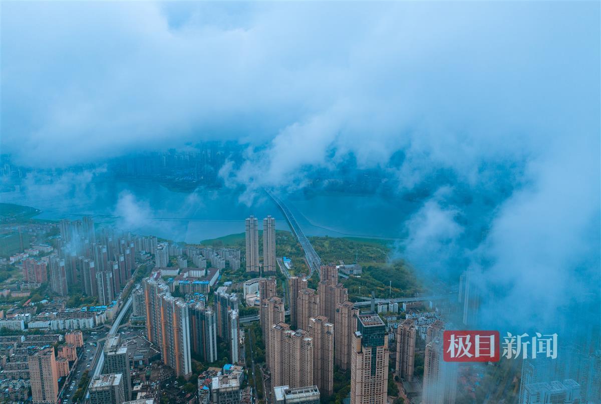 钱柜线上下载